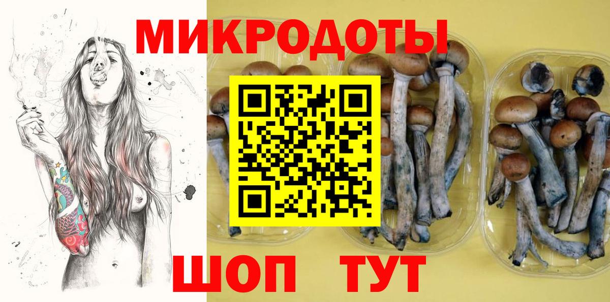Псилоцибиновые грибы Cubensis Свободный